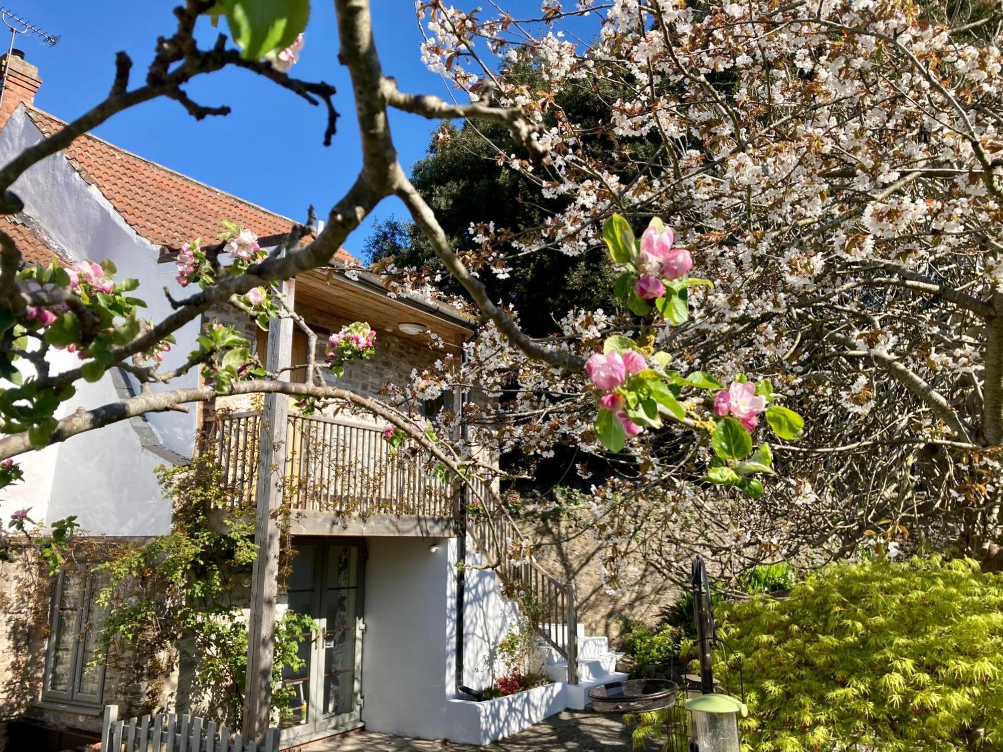 Westbury Cross House Bed & Breakfast Eksteriør bilde